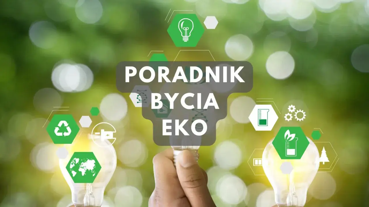 Poradnik jak być ekologicznym. Ręka trzyma żarówkę z ikonami symbolizującymi zrównoważony rozwój i troskę o planetę.