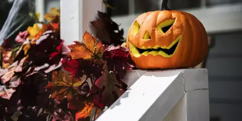 Uśmiechnięta dynia z wyciętymi oczami i zębami, otoczona jesiennymi liśćmi i pajęczyną. Idealne dekoracje z dyni ozdobnej na Halloween.