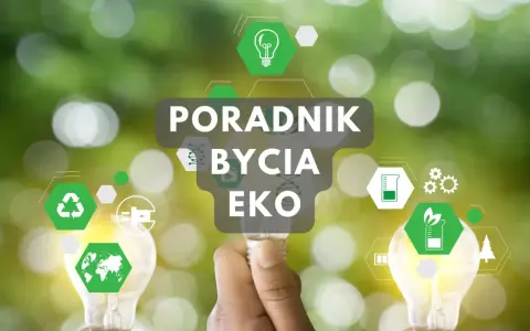 Poradnik jak być ekologicznym. Ręka trzyma żarówkę z ikonami symbolizującymi zrównoważony rozwój i troskę o planetę.