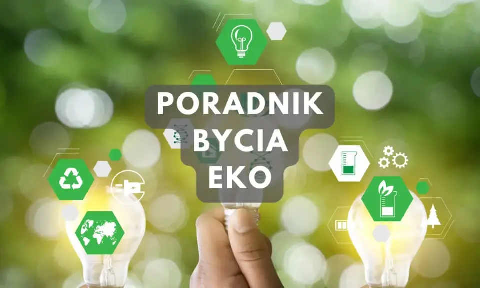 Poradnik jak być ekologicznym. Ręka trzyma żarówkę z ikonami symbolizującymi zrównoważony rozwój i troskę o planetę.