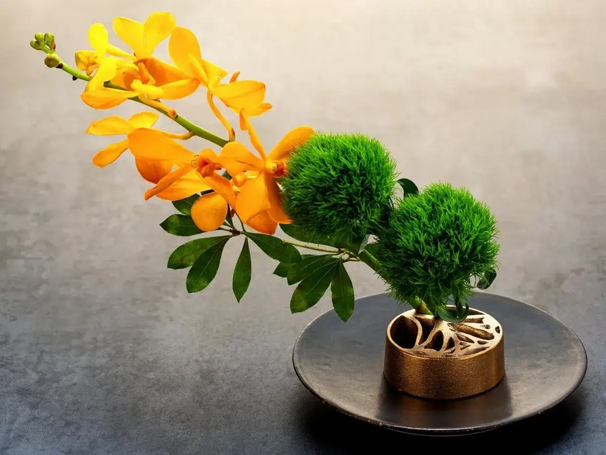 Pomarańczowe orchidee i zielone kule kwiatów w złotym wazonie. To jest ikebana, sztuka układania kwiatów.