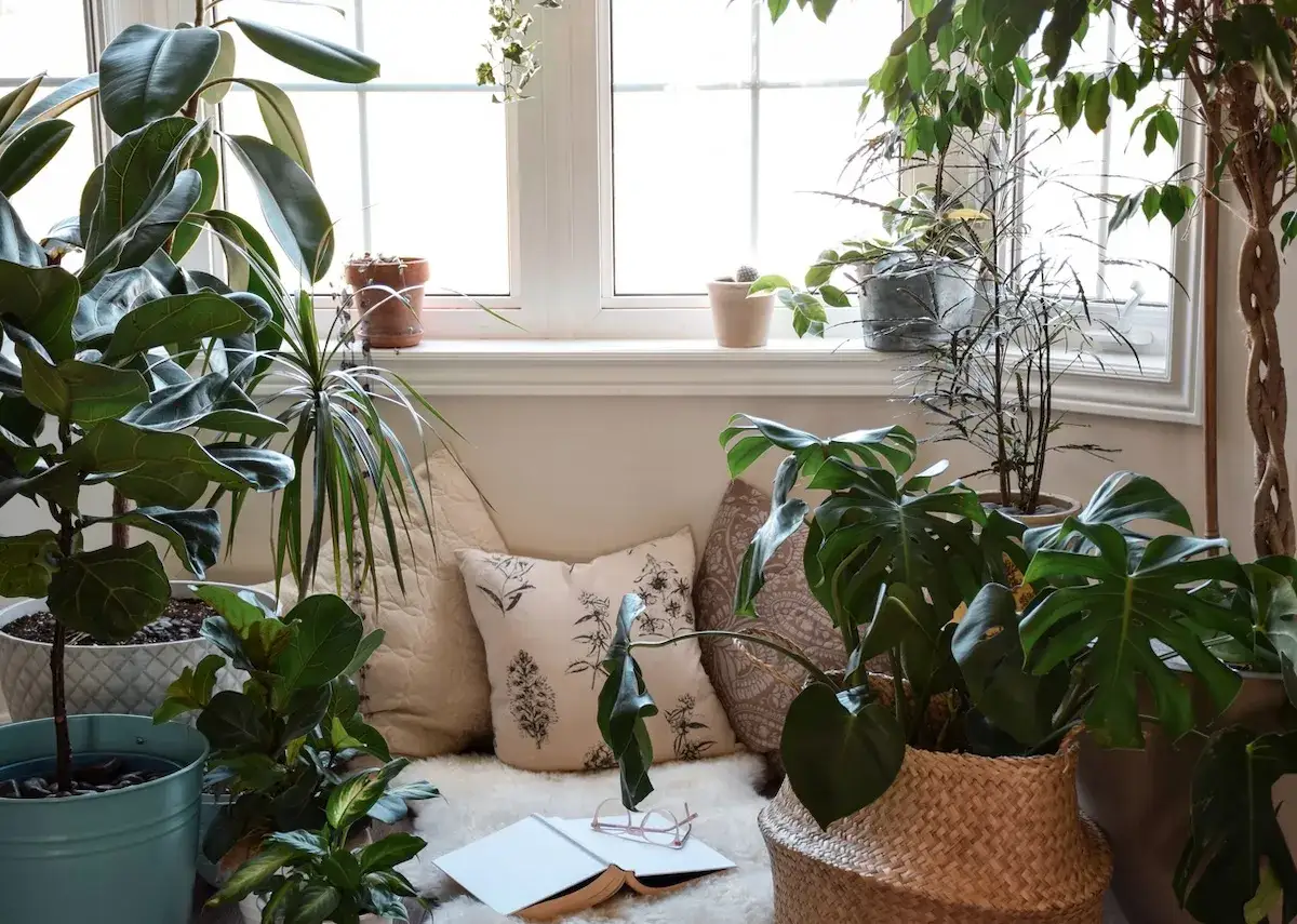 Przytulny kącik z mnóstwem roślin, idealny do relaksu. Wnętrze w stylu feng shui salon, gdzie zieleń tworzy harmonię.