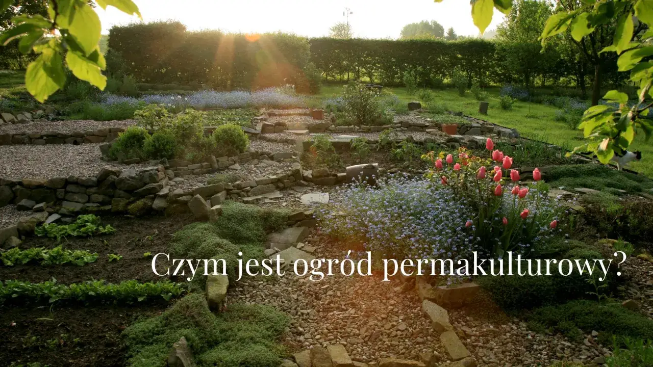 Kwiaty, warzywa i kamienne ścieżki tworzą harmonijny ogród permakulturowy. Słońce przebija się przez liście, tworząc magiczną atmosferę.